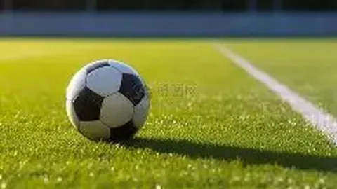 库班呼吁反思：平等基石在于尊敬